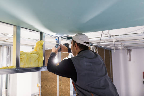 Best Types of Insulation in Redland, AL